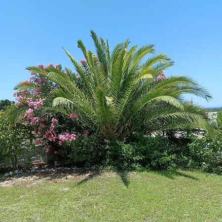 Alonia Summerhouse In Fanes Holiday home Fanes (Rhodes)